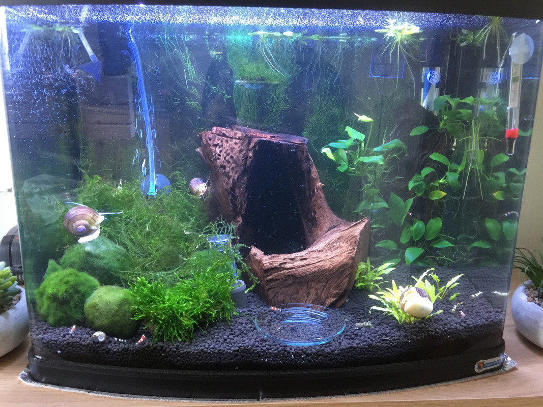 63667971-6C93-41B1-821A-8ADDD78E9BA0