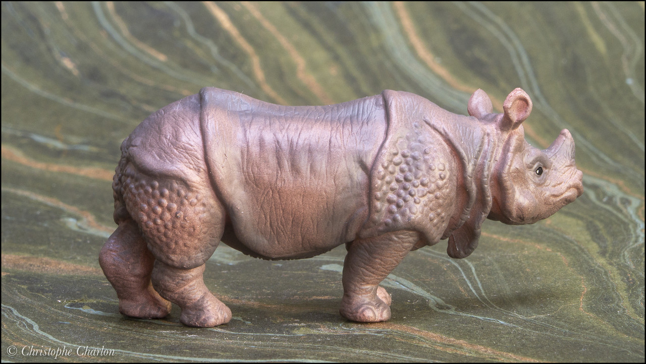 The Eikoh Indian rhinoceros, a walkaround by Kikimalou Eikoh-78825-Indian-rhinoceros-6