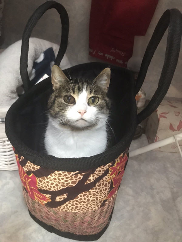 DD345865-532E-4E45-ACE7-BBB3C999886C