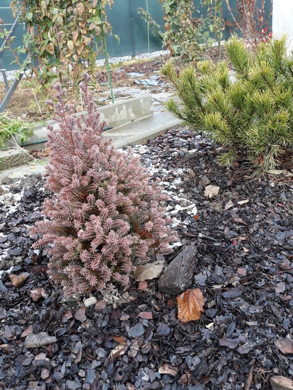 20181209_110703