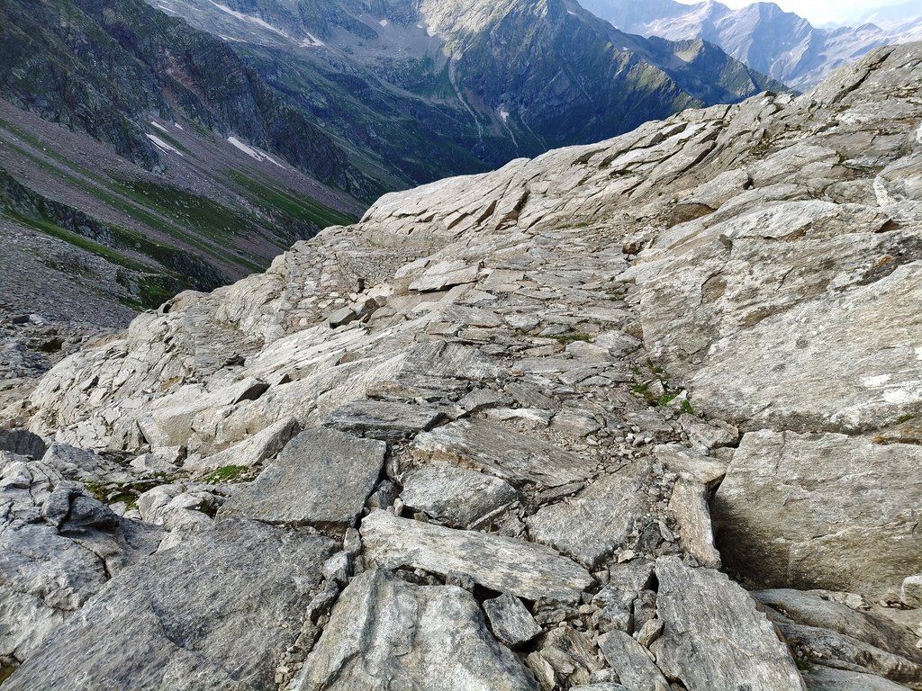 https://i.postimg.cc/zXfPrqmc/IMG20240830173259.jpg