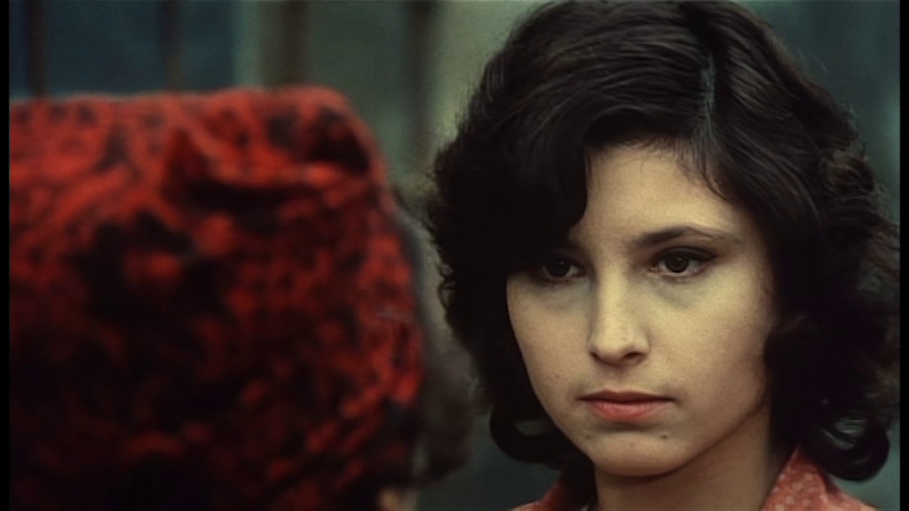 vlcsnap-2024-09-26-17h10m51s887