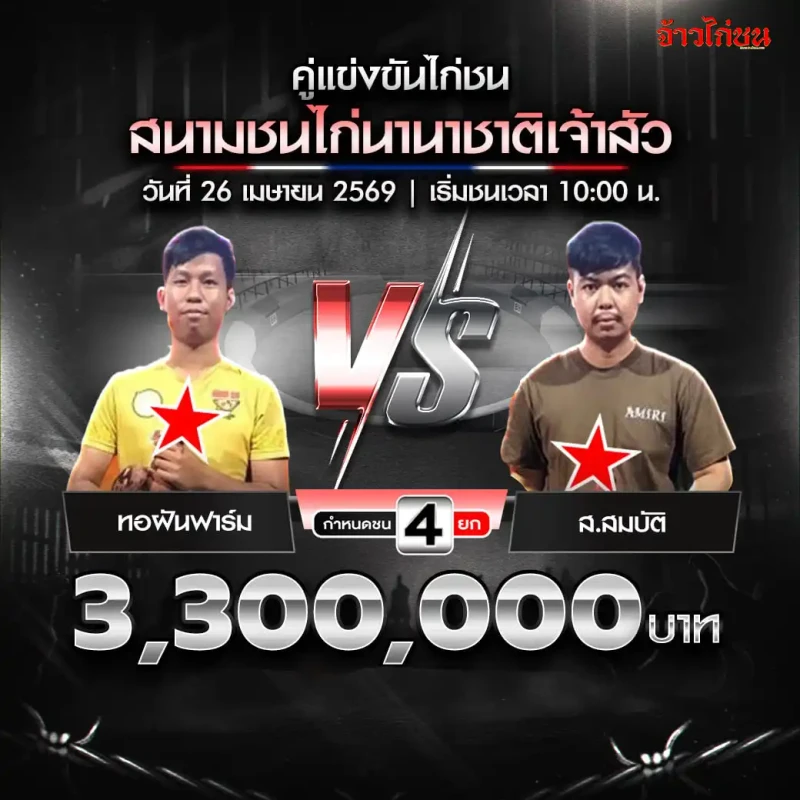 น้องณัชชา168 พบ ดำ ละ ยำ โปรแกรมไก่ชน สนามชนไก่นานาชาติเจ้าสัว วันที่ 26 เมษายน 2569