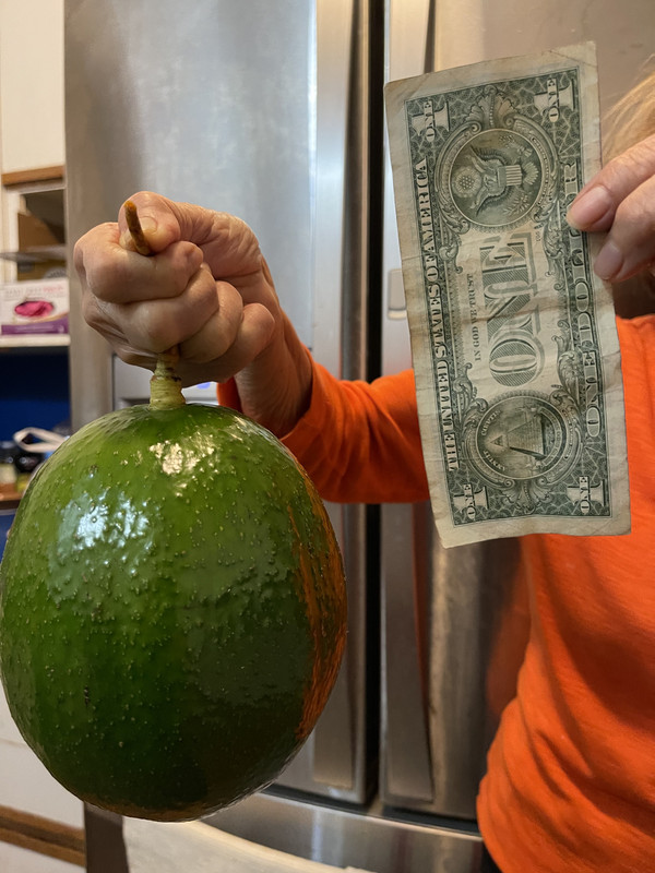 0E115B70-038F-4028-9CD4-6F2AD9308A8D