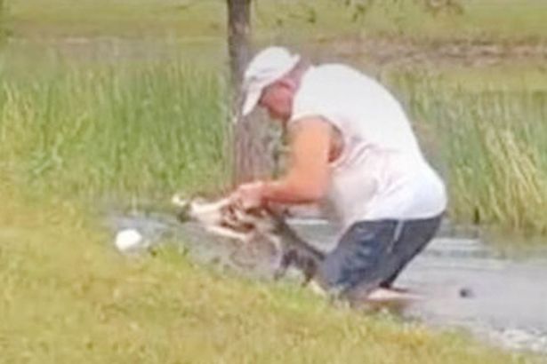 Pria berusia 74 tahun terjun ke kolam untuk selamatkan anjing dari rahang aligator