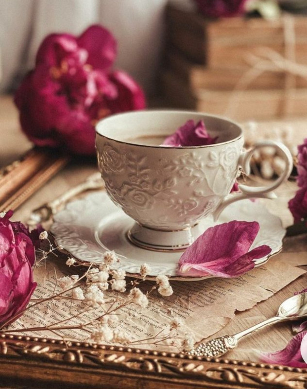 Screenshot_20230124_001755_Chrome