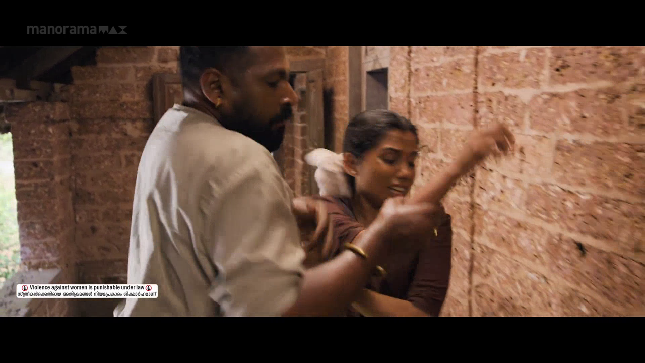 vlcsnap 2026 02 06 18h08m04s336