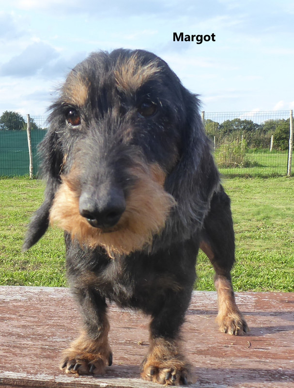 [Image: P1030759.jpg]