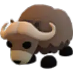 Musk Ox