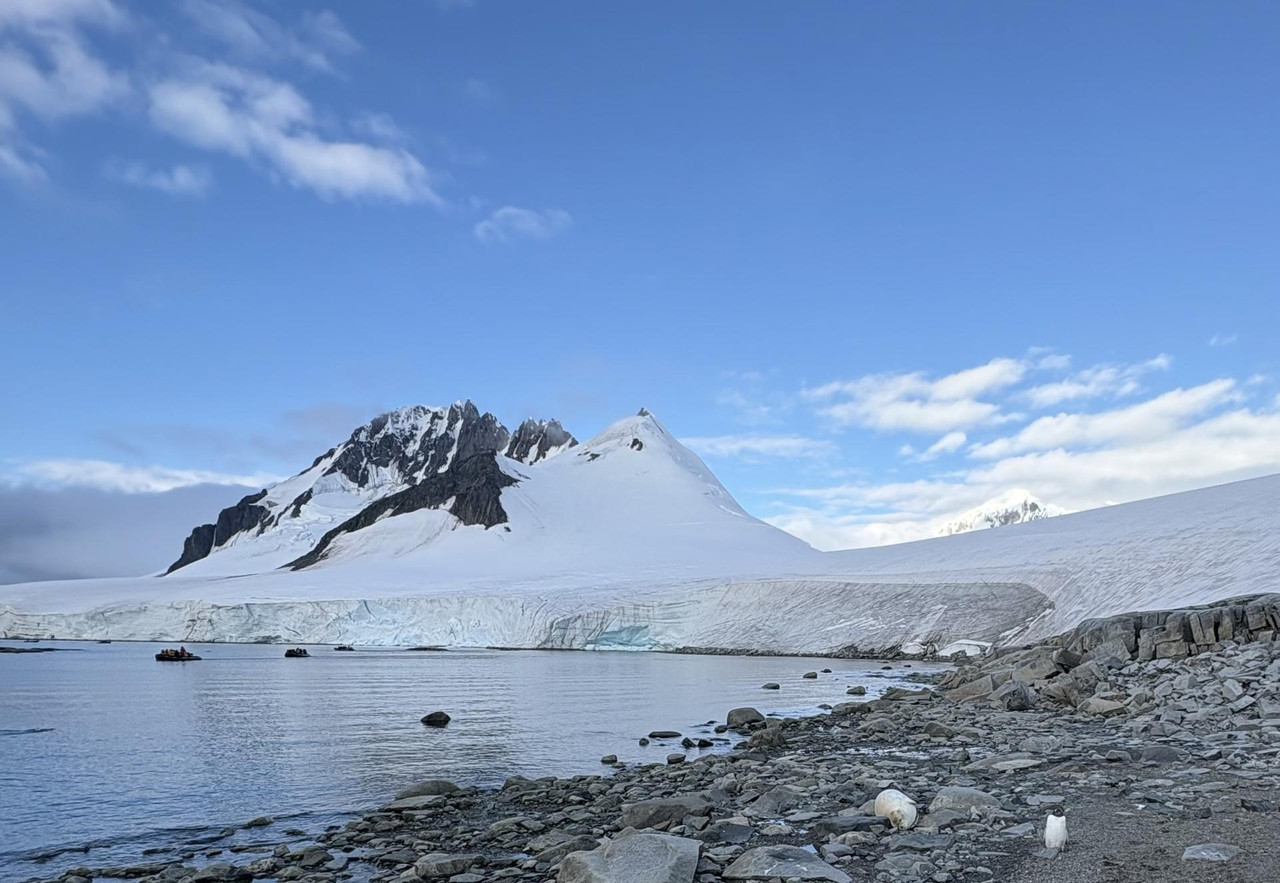 Día 4 (II). Canal Neumayer y Damoy Point - Antártida: Rumbo al Continente Blanco (3)