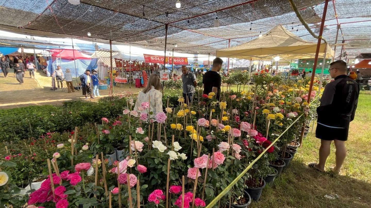 617928494-1211660061116213-8123760478964711883-n