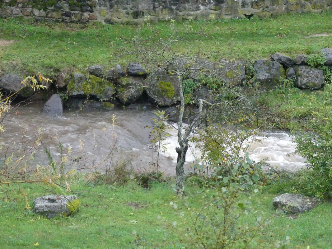 P1090887.jpg