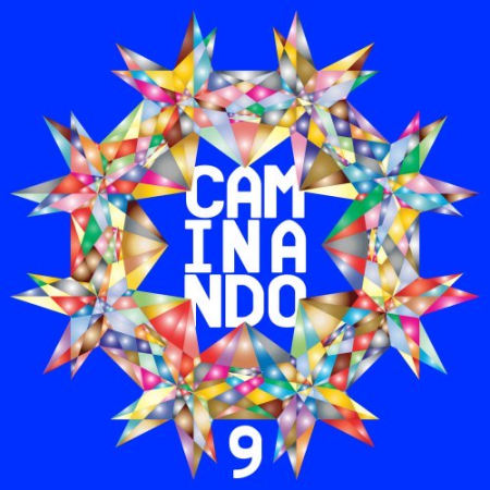 VA - Caminando 9 (2020)