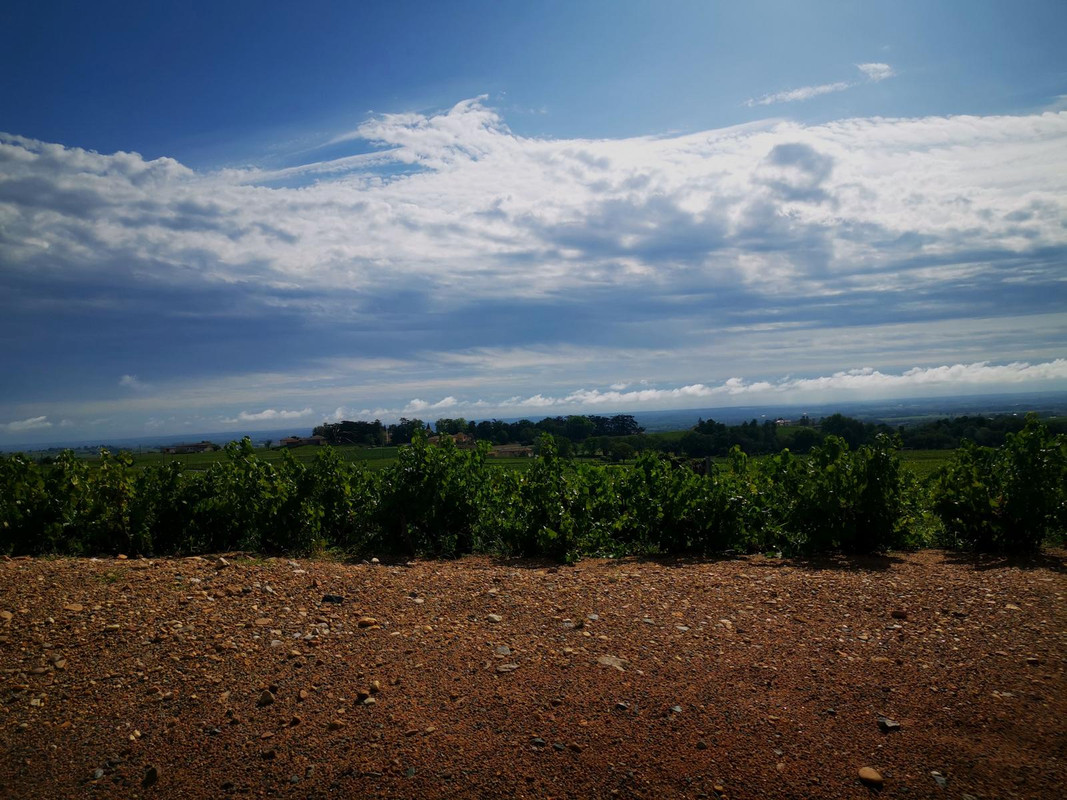 Bourgogne2019 (21).jpg.1