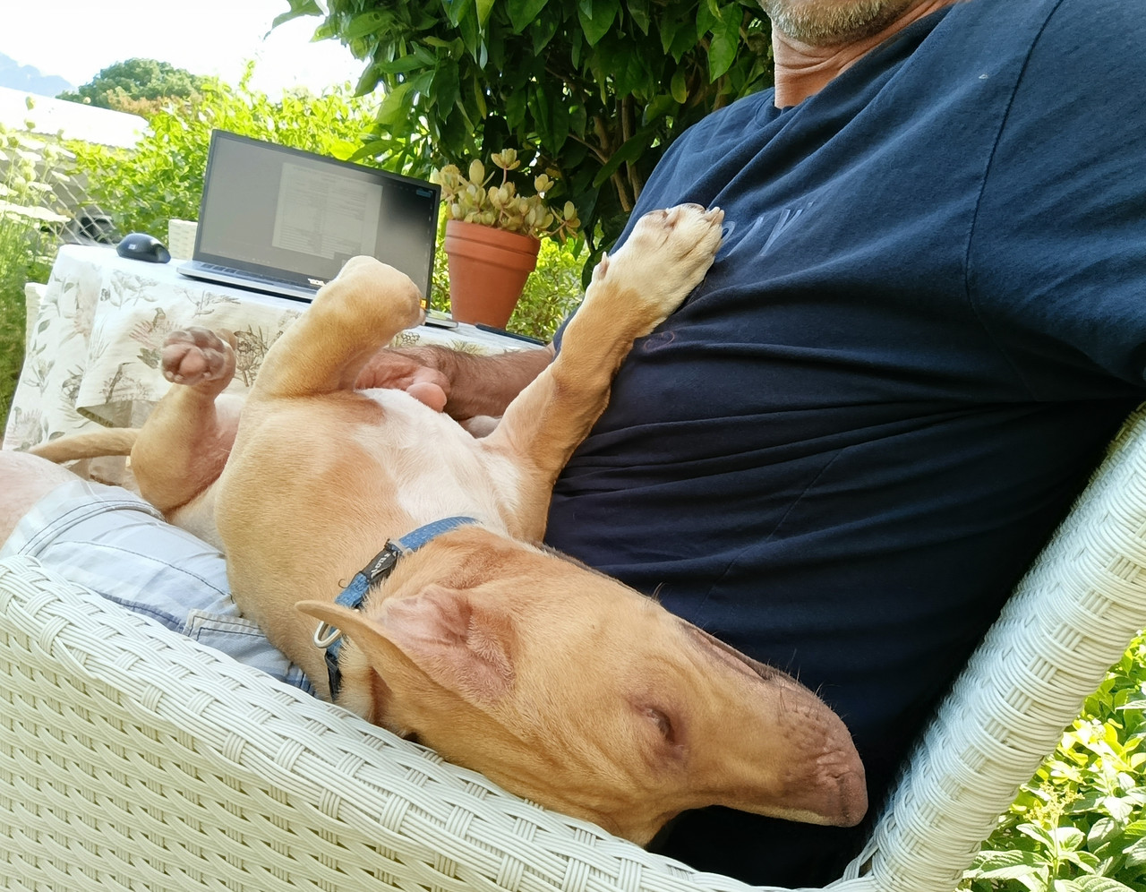 Такая близкая Африка. (ЮАР. 22 дня и 4200 км. Ноябрь-Декабрь)