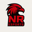 Nr Esports BD