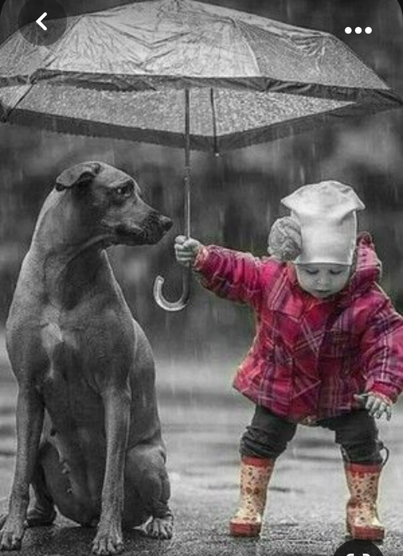 Screenshot_20231030_202815_Pinterest