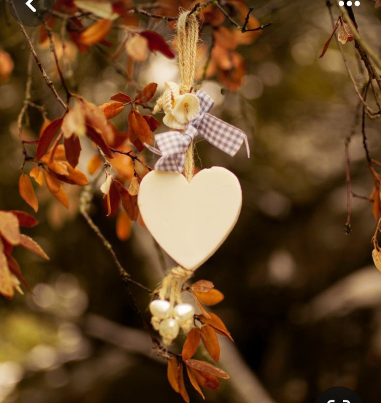 Screenshot_20240210_222201_Pinterest