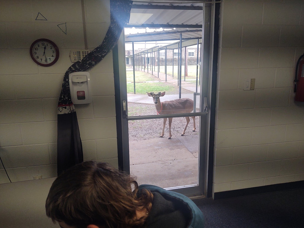 CE521FBE-889F-48BB-90BF-BFD9985CF8D7