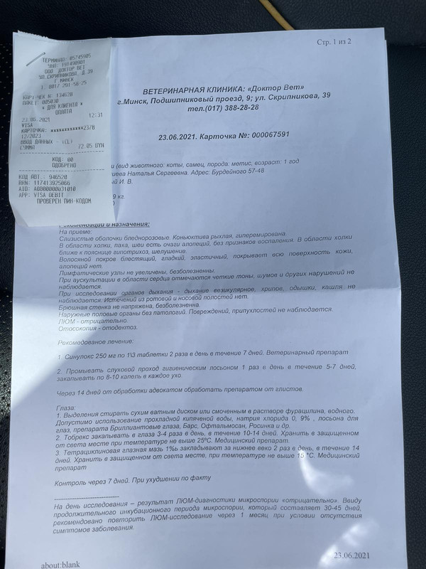 IMG-1a4093eb91346f96ff16002b6fca5b05-V