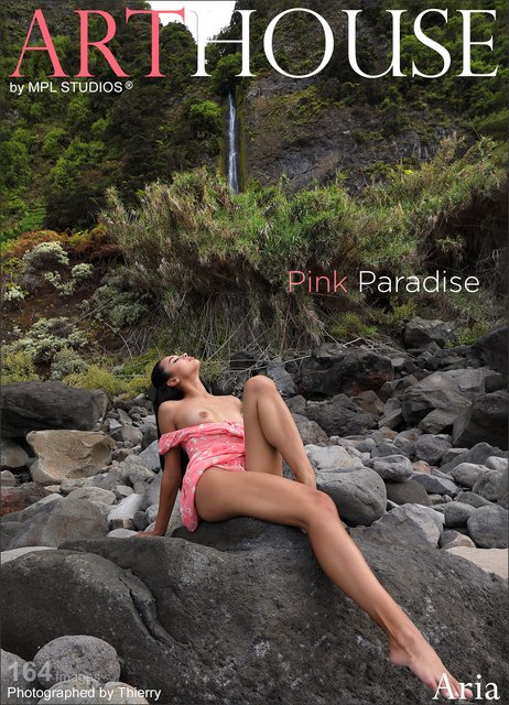 Aria - Pink Paradise - 4000px (21 Oct, 2023)