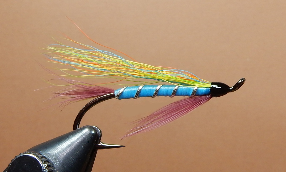 Stickleback_1080.jpg