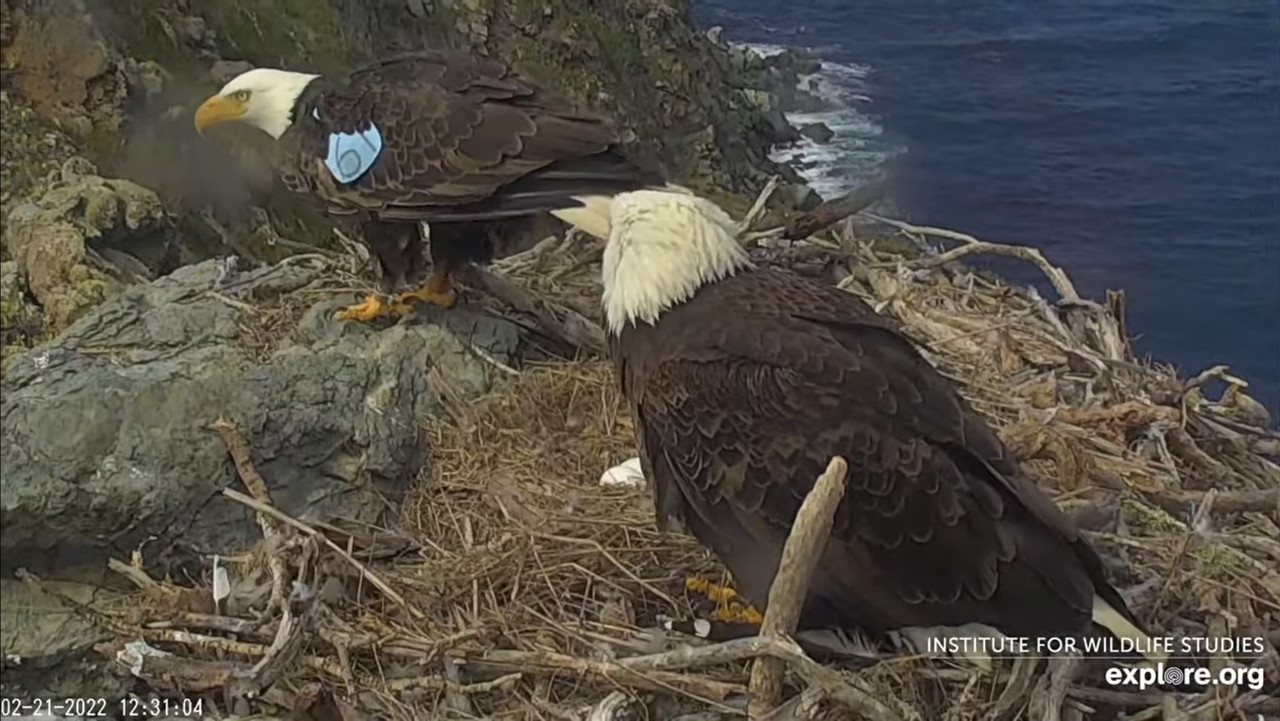 7D66B3E8-4839-42E9-8D95-F399CB3214F5