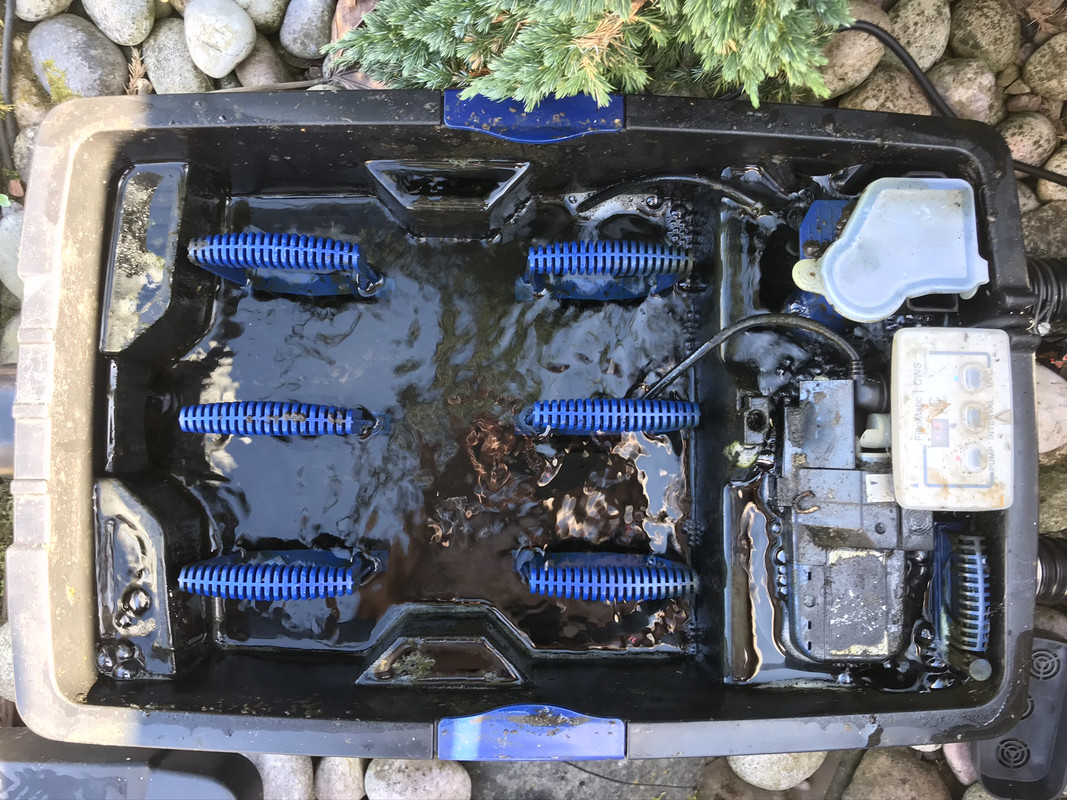 D41BFDC1-2BBF-43E9-AEC1-3098759DB4CA