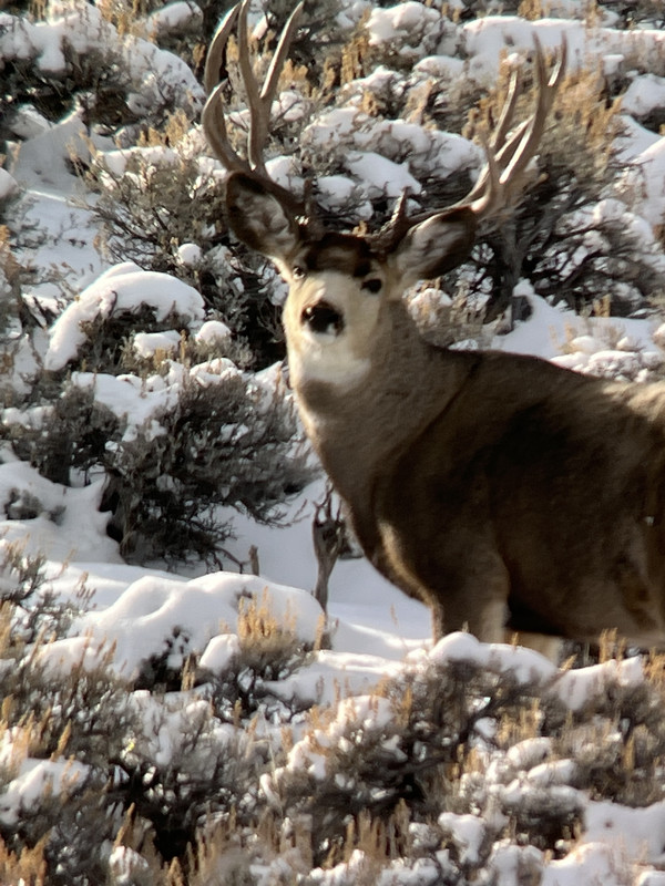 9E632C6D-36B4-4194-BCB4-FC894642E95E