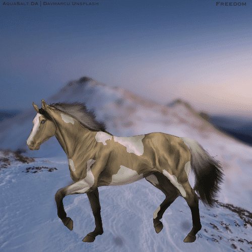 D95DBBAF-5BBB-4E45-9830-D3F9F19CE1BB