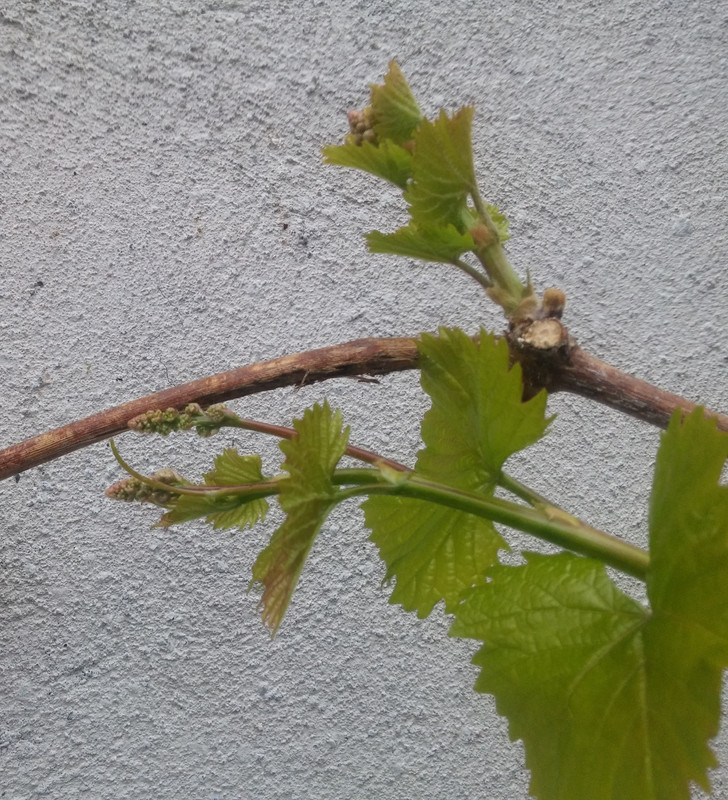 20190407_180550