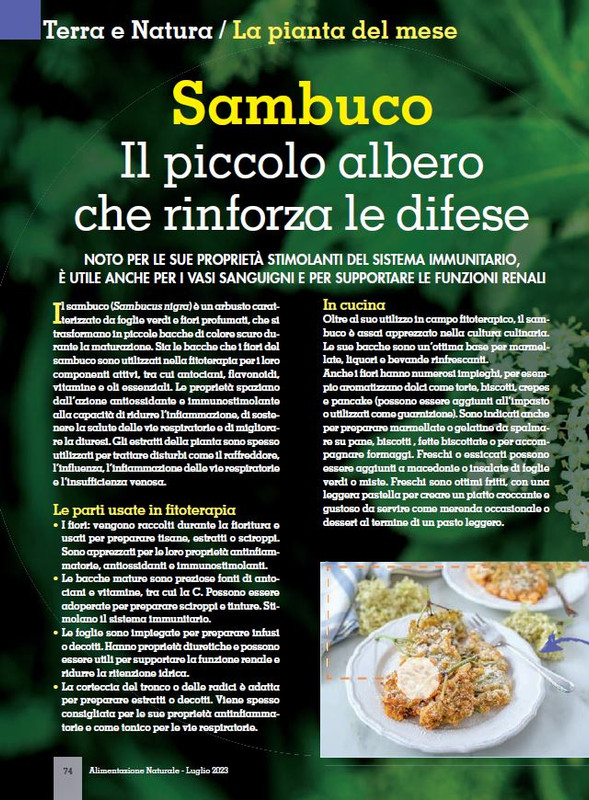 Alim Nat Lug 2023 (11)