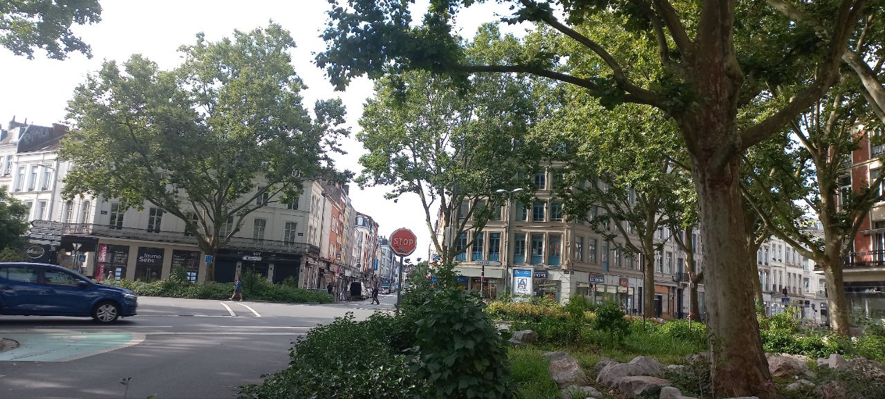 IMG-20230804-140417-243