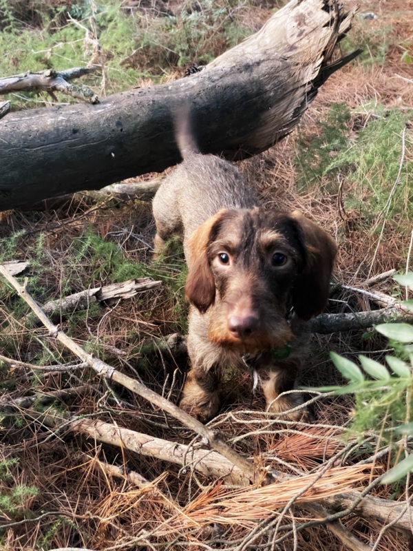 [Image: IMG-2125.jpg]