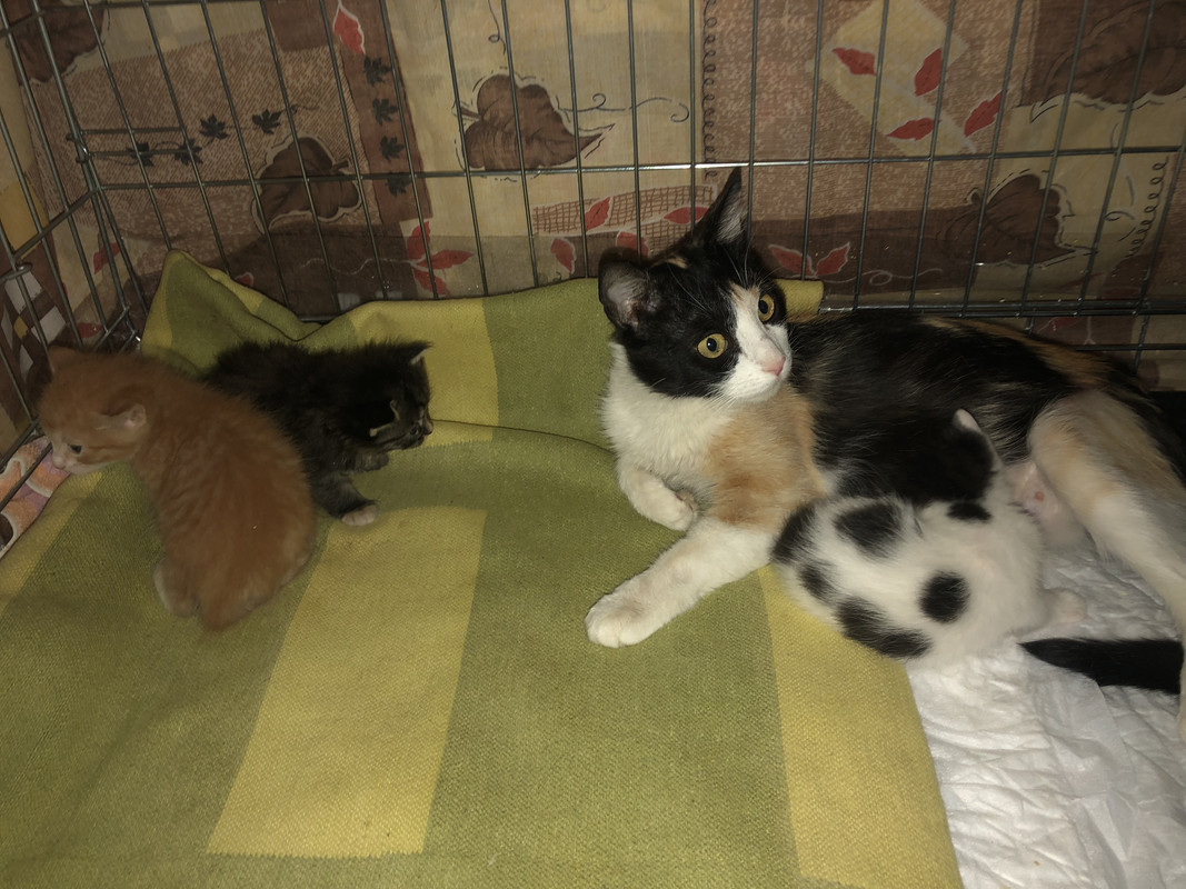 585F86F9-5511-4E6E-82E5-1731092A0E2E