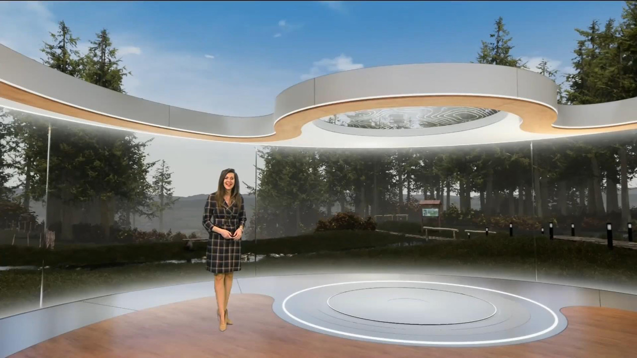Daniela Prepeliuc 261120.mp4_snapshot_00.00_[2020.11.26_17.16.09]