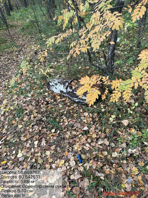 photo_12_2025-09-27_20-36-30