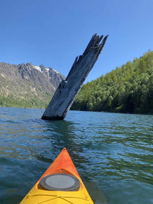 2DE87140-9ADF-4C99-B8DE-F451B5E1EDEF