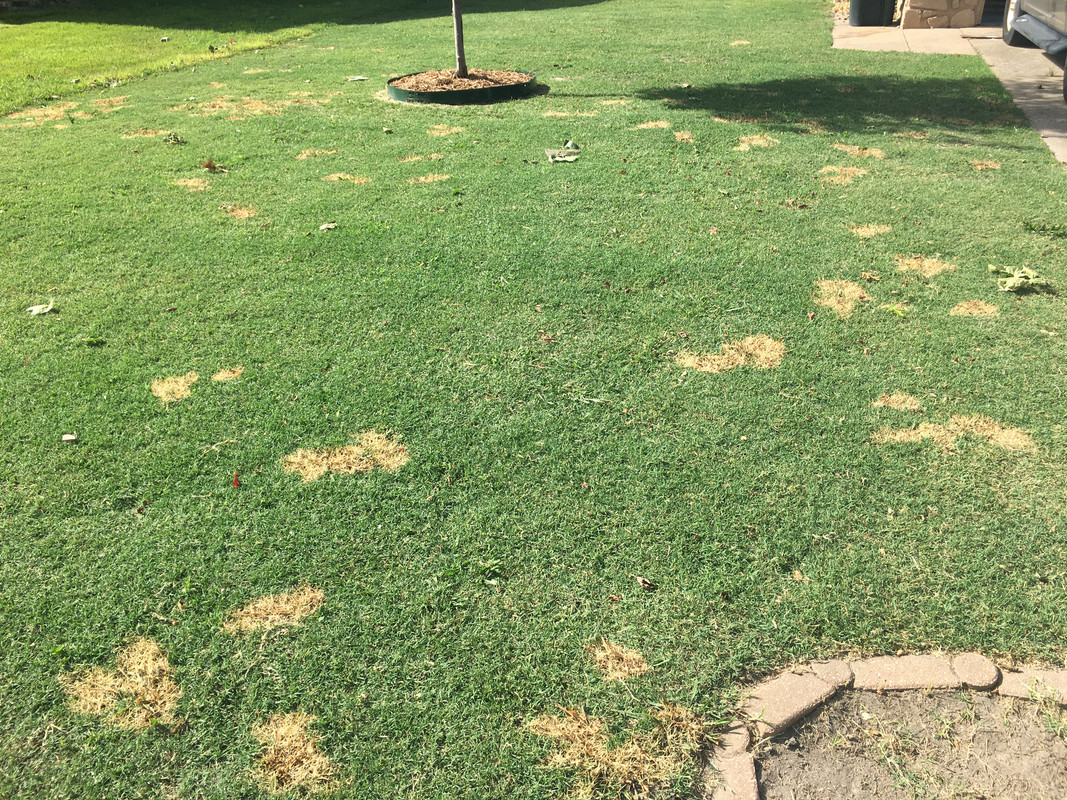 9CBC0E22-5B9E-4A18-A32D-6110E56BE081