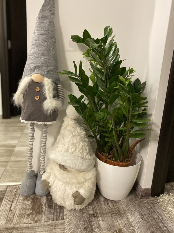 8E4D8D36-B3AF-4827-A1DA-834737DF4317