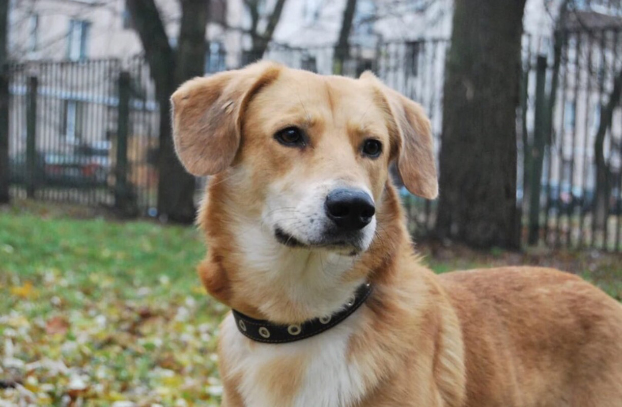 DD0418CE-4622-41E7-B69E-F036C47FE78E