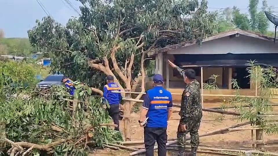 vlcsnap-2026-04-21-09h56m54s629