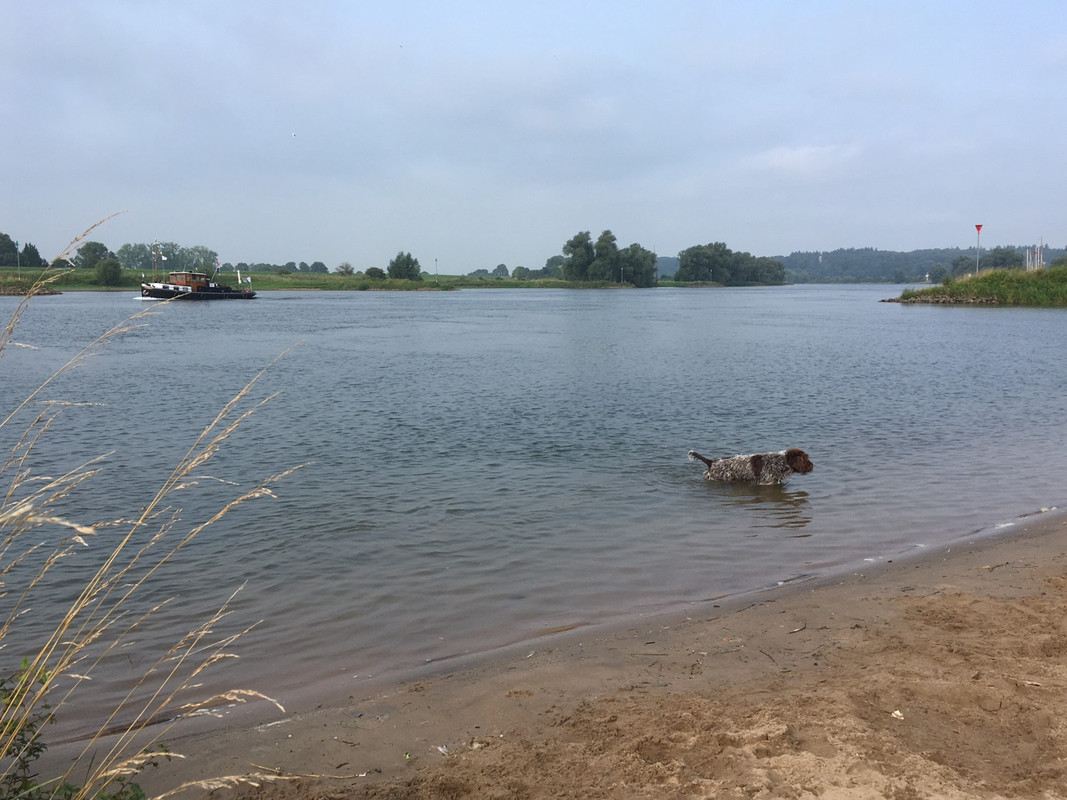 2024-03-08 Zwemmen in de Rijn 3 IMG_3935 (002)