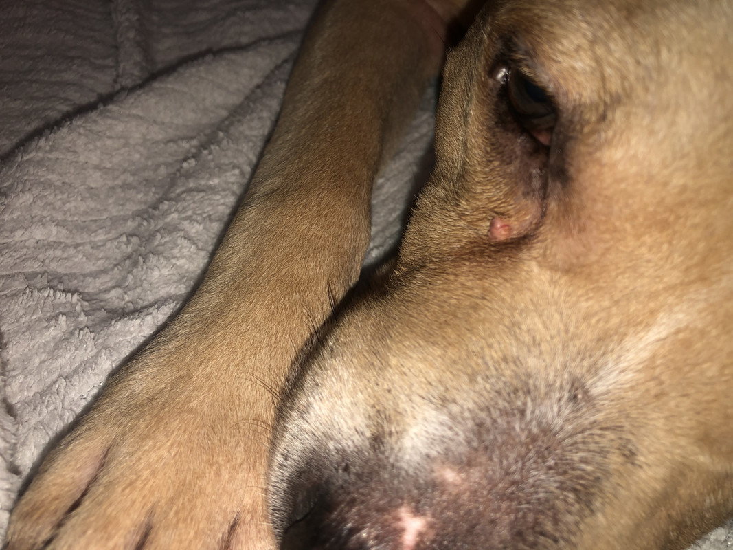 92734EFF-620B-4FD2-ABB5-2D4002508CD7