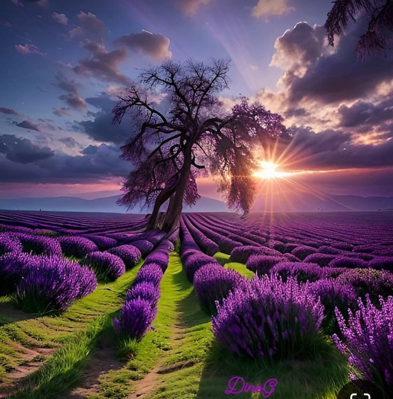 Screenshot_20240527_231435_Pinterest