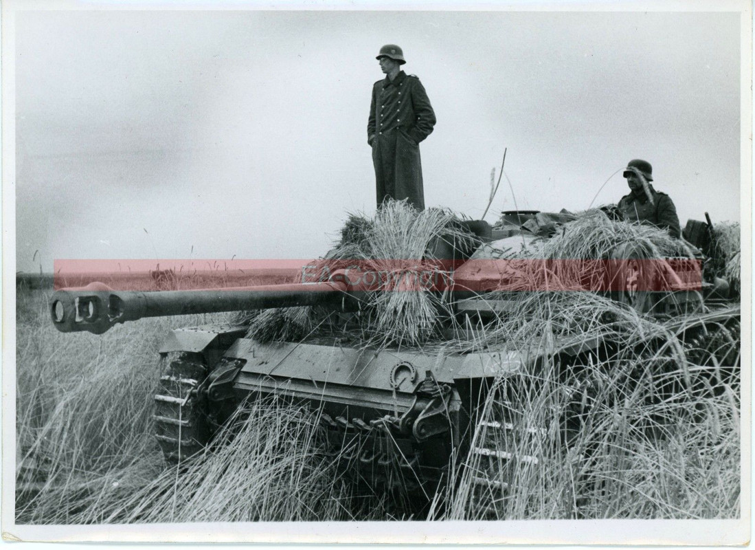 Tarn Camo StuG Sturmgeschütz Tank Sturmartilleri