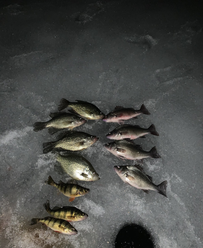 ED3DC78B-C6F2-4F68-B07A-B8ACD6178E51