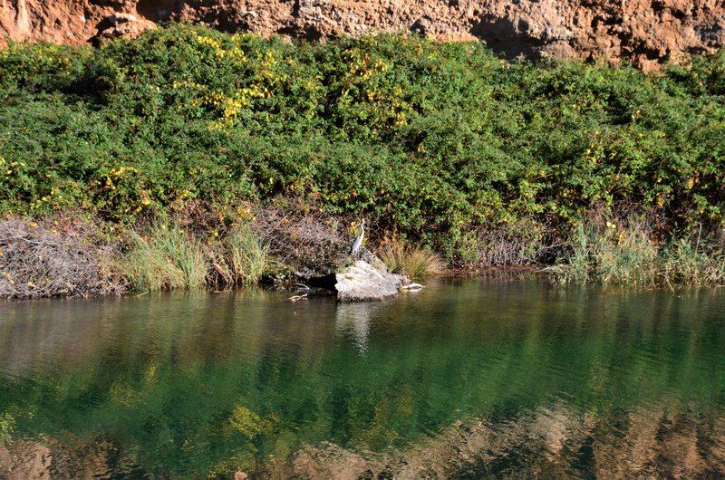 CAÑON DEL RIO GUADIELA-2011/2015-CUENCA - Paseando por España-1991/2016 (27)