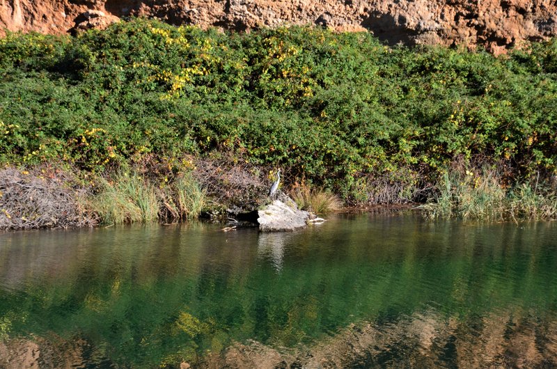 CAÑON DEL RIO GUADIELA-2011/2015-CUENCA - Paseando por España-1991/2024 (27)