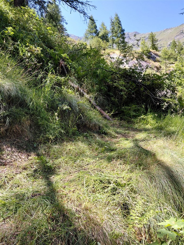 IMG 20260724 WA0026